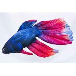 Gaby Siamesischer Kampffisch Kissen, Länge ca. 53 cm