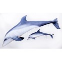 GABY Delfin Kissen